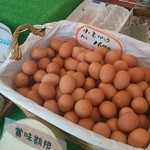 秋川牧園 直売店 - 小玉パックの卵。スーパーの卵と比べたら高いですが、おいしくてこの値段だと安いかも。