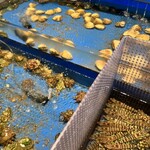 博多豊一 - 生簀