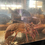 博多豊一 - 伊勢海老