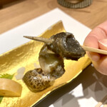 名駅 鮨 天野 - バイ貝