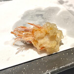 名駅 鮨 天野 - 天冨良 車エビ 頭