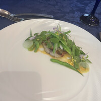 Concept 1/f コンセプトエフブンノイチ - 