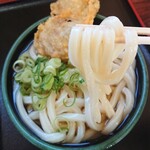 Teuchi Udon Tsuyoshi - 麺のリフトアップ