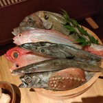 Taimeshi Gimmaru - 