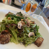 Benoit Alain Ducasse - 