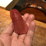 初音鮨 - 中とろ