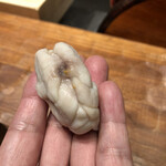 初音鮨 - トラフグ