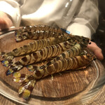 初音鮨 - 車海老　動きません