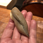 初音鮨 - 今日一のこはだ