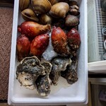 御食事処 魚ふみ - 入口にあった食材（牡蠣、ホヤ、はまぐり）