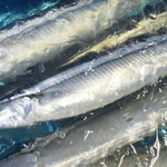 寿司・日本料理 みのわ - 