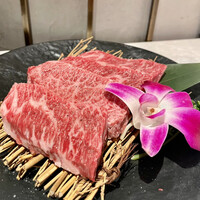 PONGA PREMIUM - 