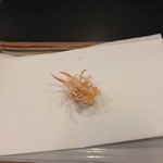 松翁 - 才巻き海老の頭