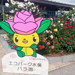 Shop&Cafeミナマータ Tea Salon M - バラ園(2023.5.5)