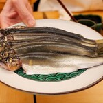 鮨おにかい＋1 - 鮎