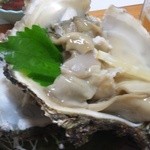 丸吉 - 岩牡蠣