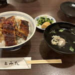 Unagi Tomita - 