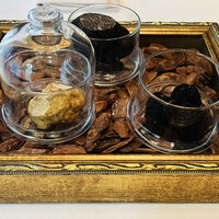 Terres de Truffes, Tokyo - 