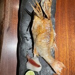 炭火原始焼と蔵元焼酎の店 のどぐろの中俣 - 