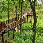 ホテルバーモラル軽井沢 - 花の咲く、「風のガーデン」への橋（ホテル敷地内）