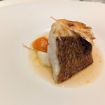 銀座 フレンチ Sublime Premium - 