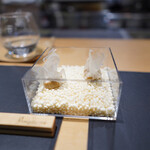 サンプリシテ - 