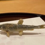 天ぷら 京星 - 稚鮎