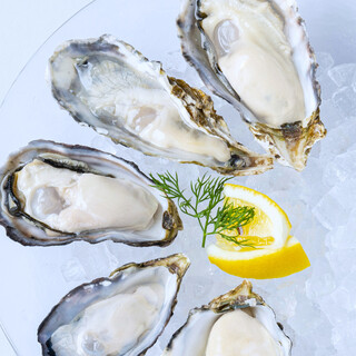 One raw Oyster costs 390 yen! 5 types of domestic brands available.