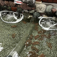 札幌 かに本家 札幌駅前本店 - 