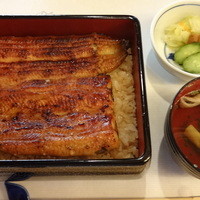 鰻割烹 伊豆栄 本店 - うな重（梅）：４７２５円