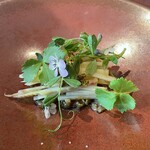 ラ・テラス - 蛍烏賊　山椒　筍