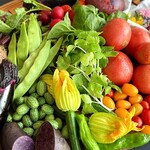 NEMOTO.LABO - 信州の地元野菜