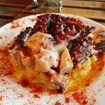 PULPO - 