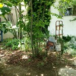 YATSUDOKIYA CAFE - お庭