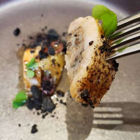 クイントカント - 