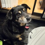 那須温泉ゆきみそう 別邸 - 