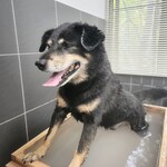 那須温泉ゆきみそう 別邸 - 