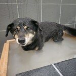 那須温泉ゆきみそう 別邸 - 