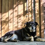 那須温泉ゆきみそう 別邸 - 