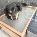 那須温泉ゆきみそう 別邸 - 