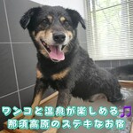 那須温泉ゆきみそう 別邸 - 