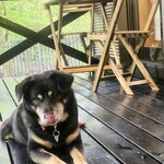 那須温泉ゆきみそう 別邸 - 