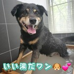 那須温泉ゆきみそう 別邸 - 