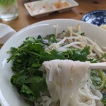 CAFE VIET - 平打ち米粉麺