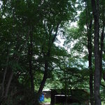 イル・リコッターロ - 木のトンネルを抜けると、山羊さんや羊さんがいます☆