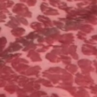 和牛焼肉 ワンダフィレ - 