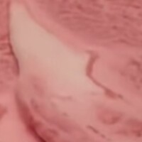 和牛焼肉 ワンダフィレ - 