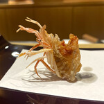 天冨良 麻布よこ田 - 