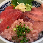 Oshokujidokoro Taneichi - 赤身、中トロ、ネギトロ丼