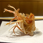 天冨良 麻布よこ田 - 